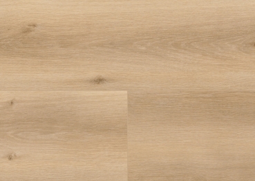 Wineo 1200  XXL Klick Bio Boden  Bund à 2,5 qm multilayer Dekor: Welcome Oskar